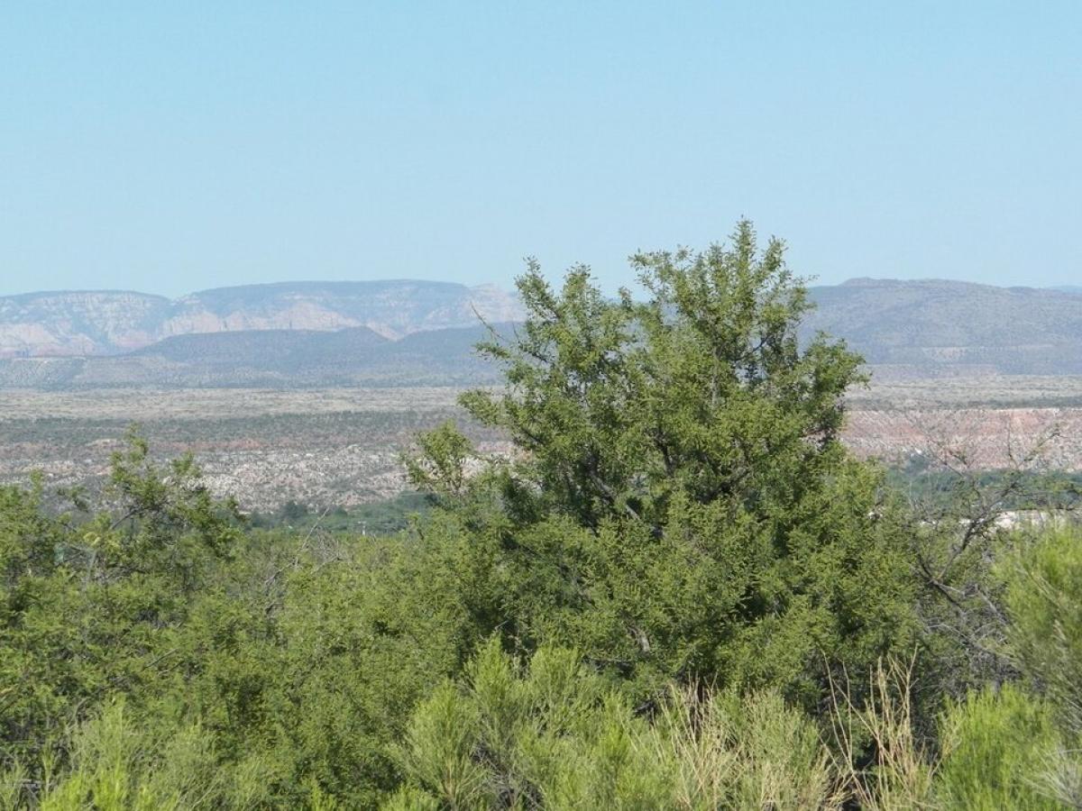 Picture of Residential Land For Sale in Clarkdale, Arizona, United States