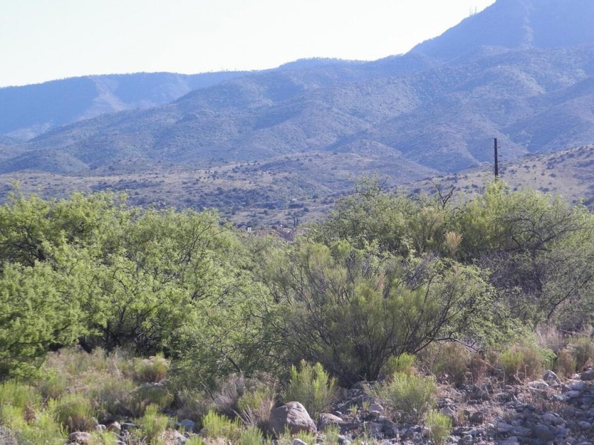 Picture of Residential Land For Sale in Clarkdale, Arizona, United States