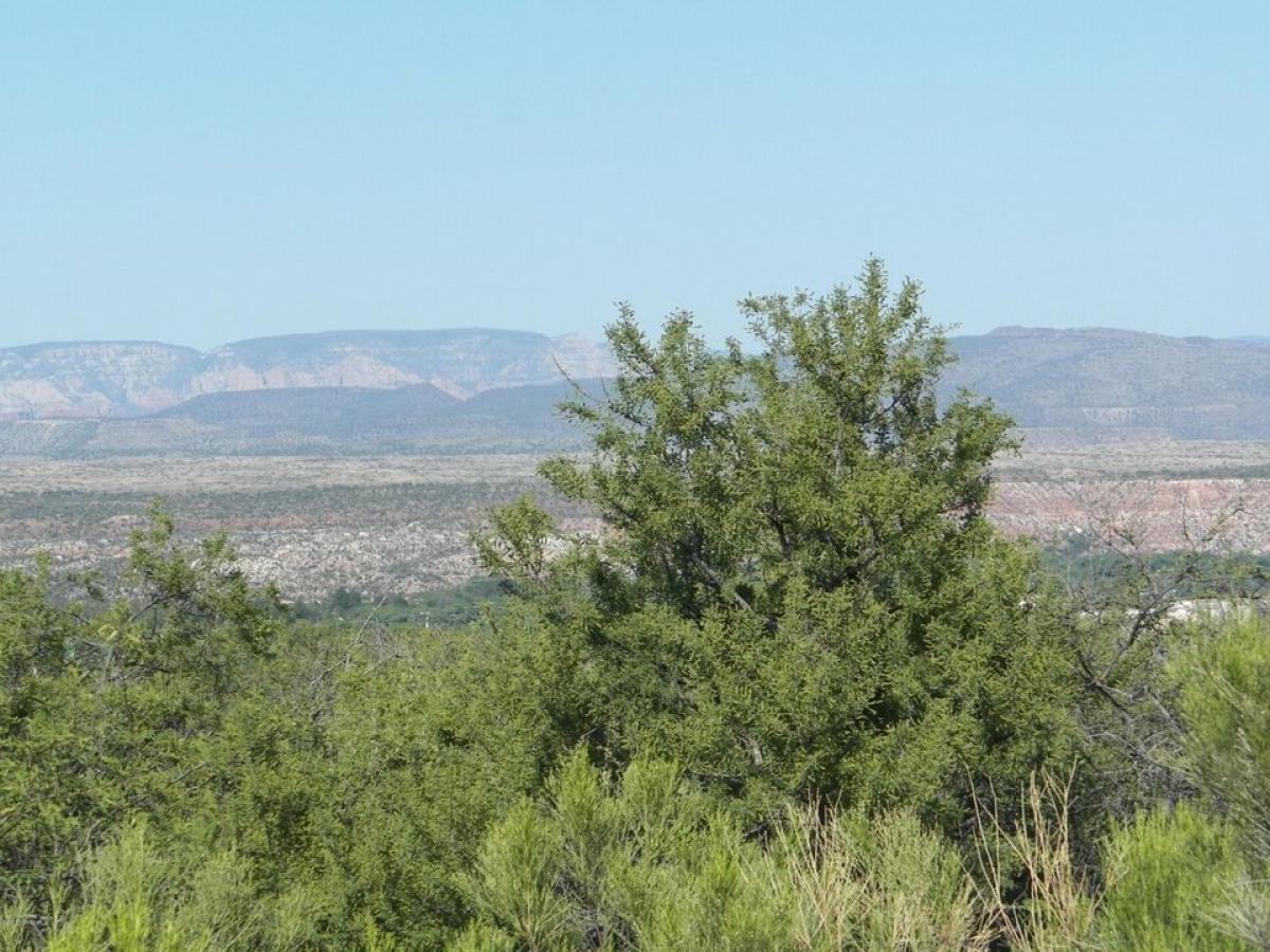 Picture of Residential Land For Sale in Clarkdale, Arizona, United States