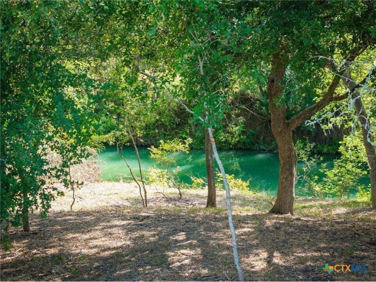 Picture of Residential Land For Sale in Staples, Texas, United States