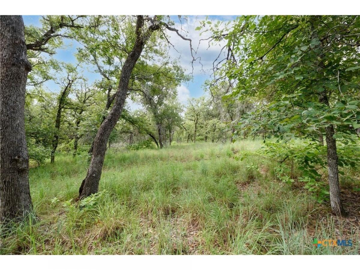 Picture of Residential Land For Sale in Seguin, Texas, United States