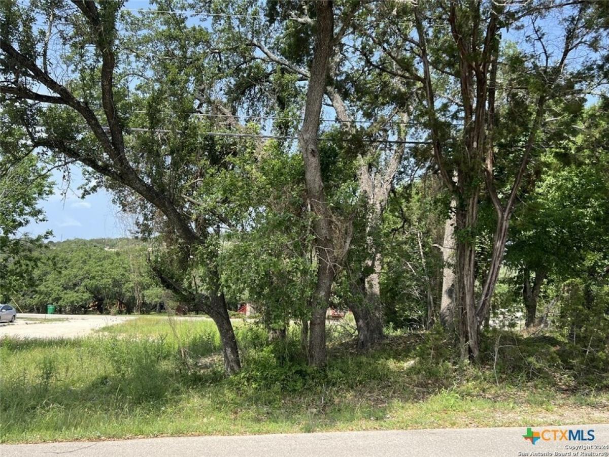 Picture of Residential Land For Sale in Canyon Lake, Texas, United States