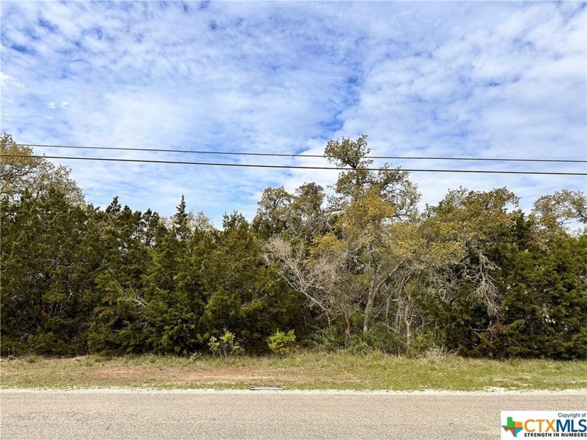 Picture of Residential Land For Sale in Canyon Lake, Texas, United States