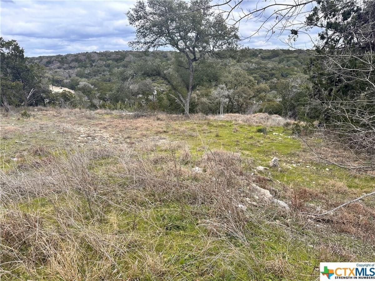 Picture of Residential Land For Sale in Canyon Lake, Texas, United States