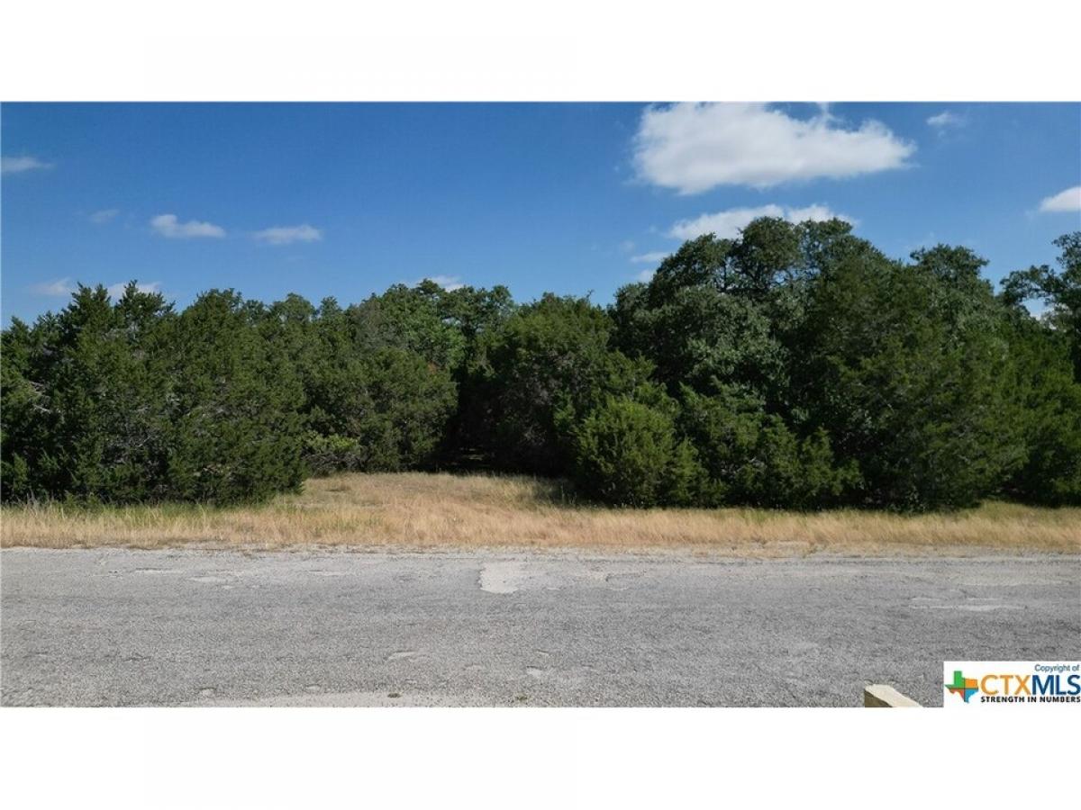 Picture of Residential Land For Sale in Canyon Lake, Texas, United States