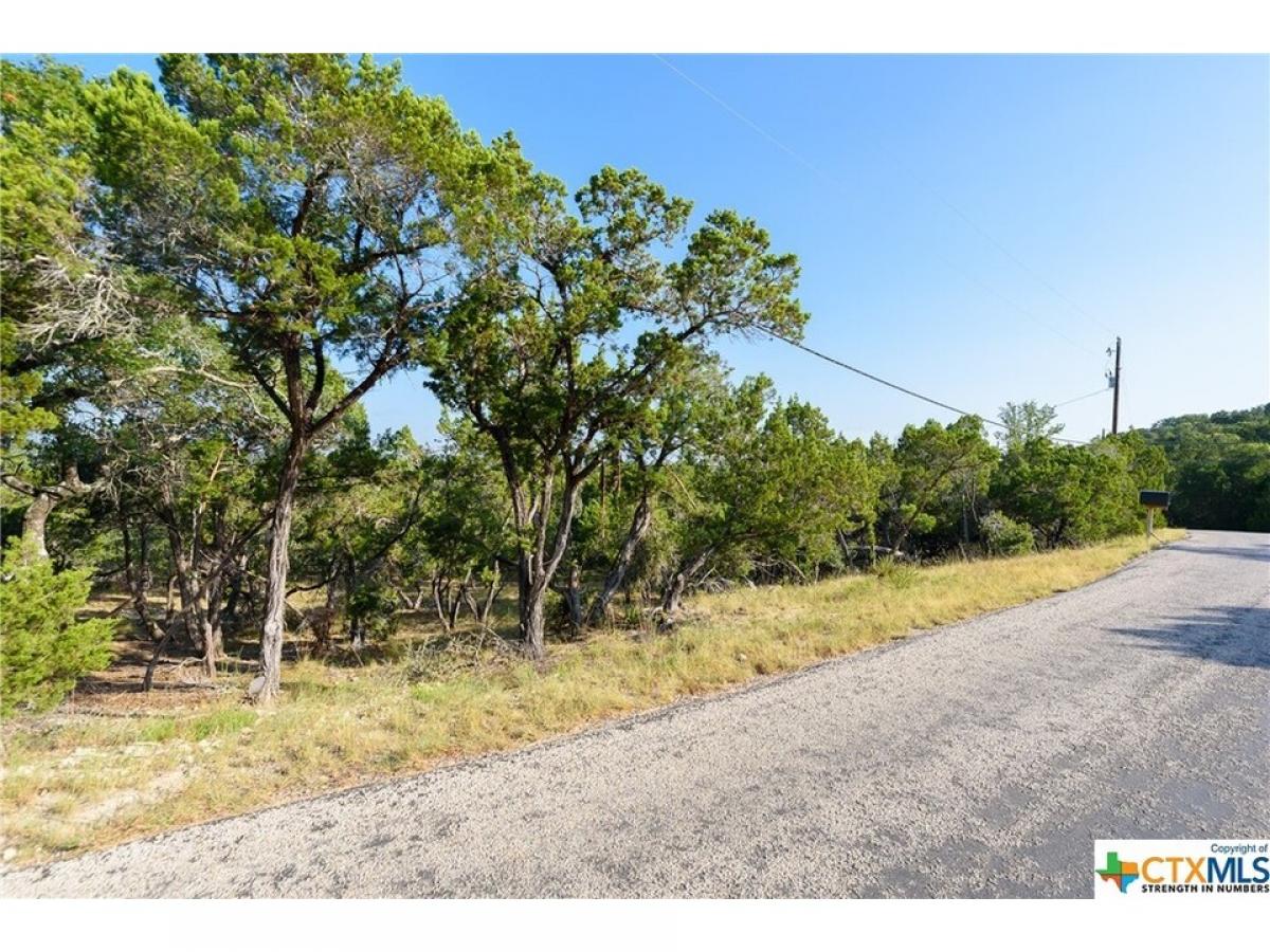 Picture of Residential Land For Sale in Canyon Lake, Texas, United States