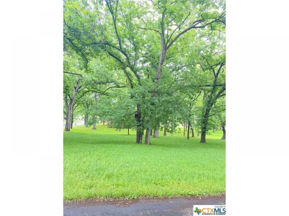 Picture of Residential Land For Sale in Seguin, Texas, United States