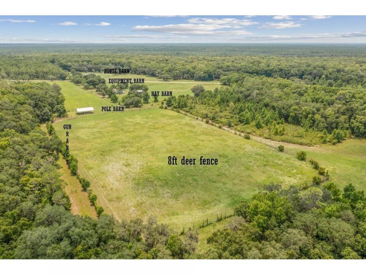 Picture of Home For Sale in Crescent City, Florida, United States