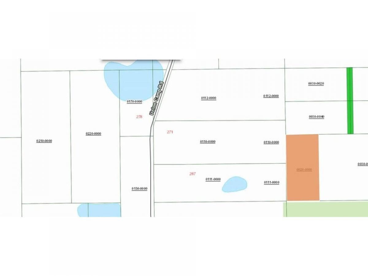 Picture of Residential Land For Sale in Crescent City, Florida, United States