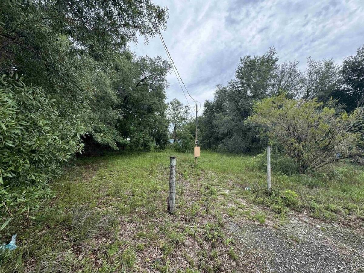 Picture of Residential Land For Sale in Interlachen, Florida, United States