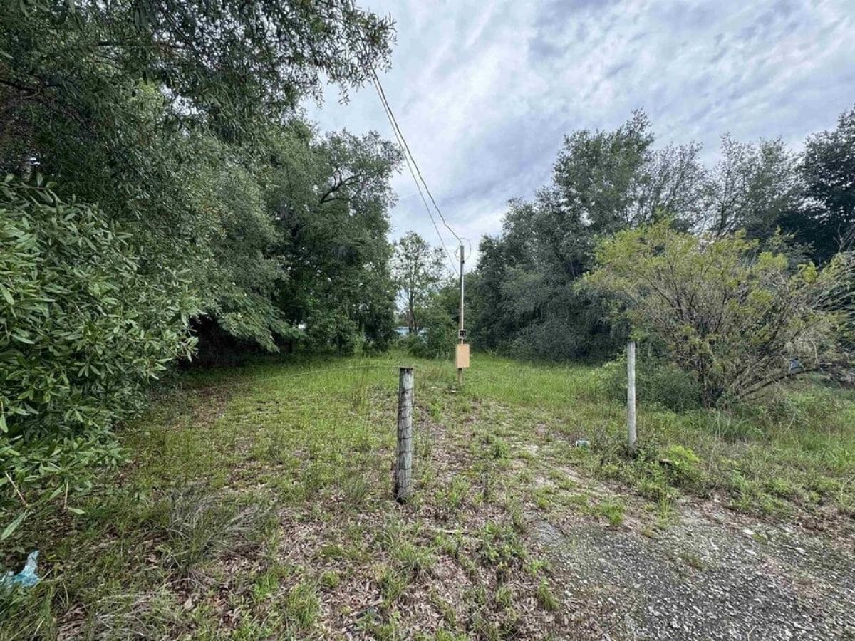 Picture of Residential Land For Sale in Interlachen, Florida, United States