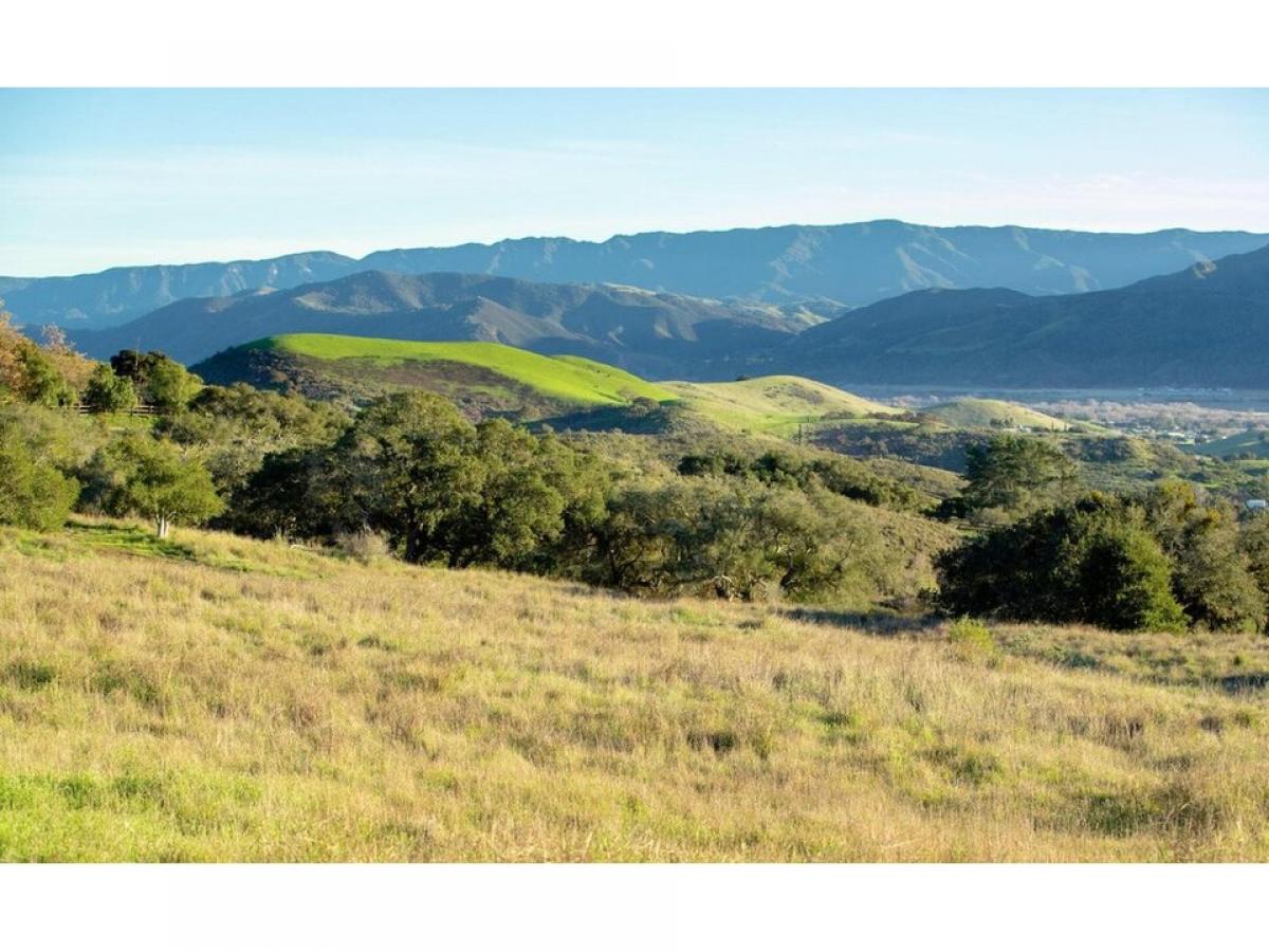 Picture of Residential Land For Sale in Buellton, California, United States