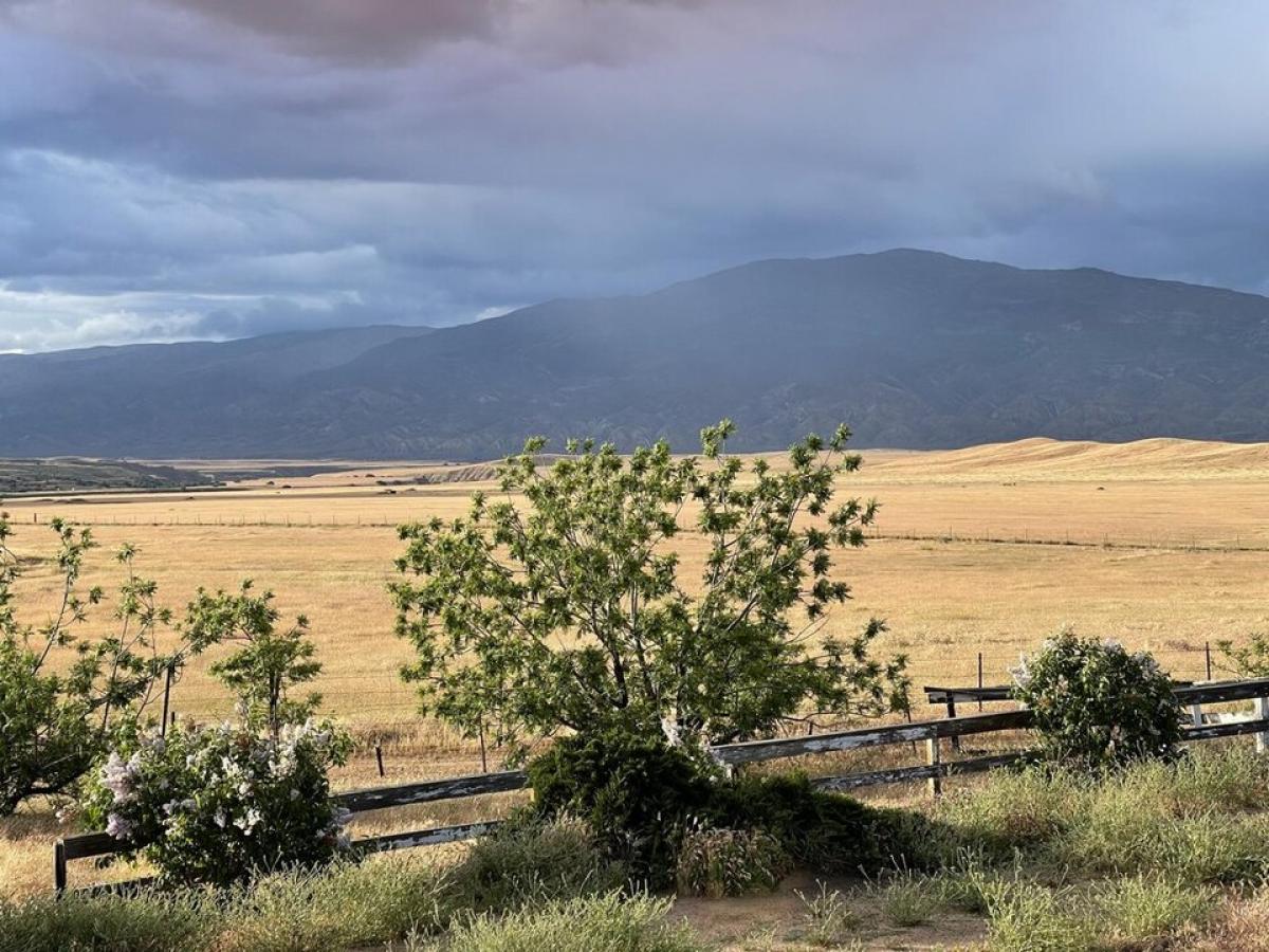 Picture of Home For Sale in New Cuyama, California, United States