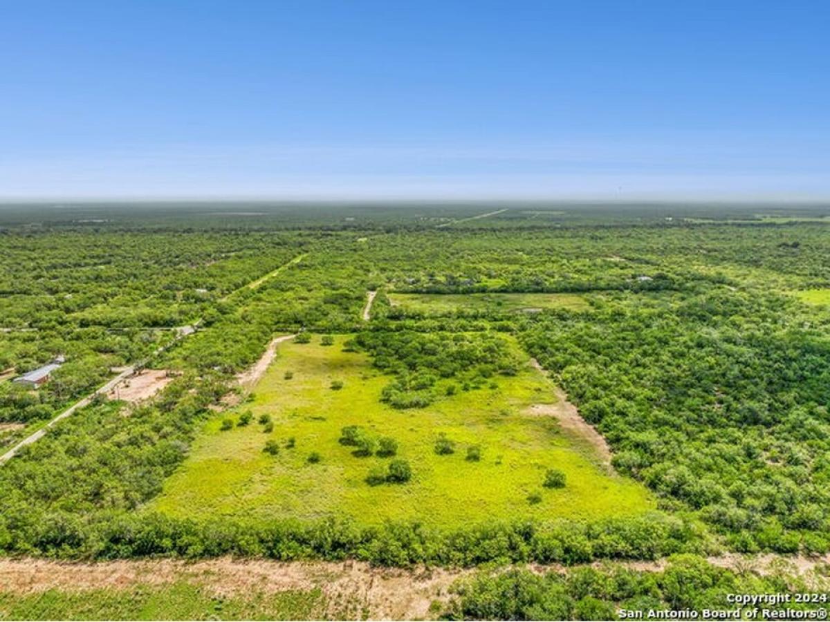 Picture of Residential Land For Sale in Christine, Texas, United States