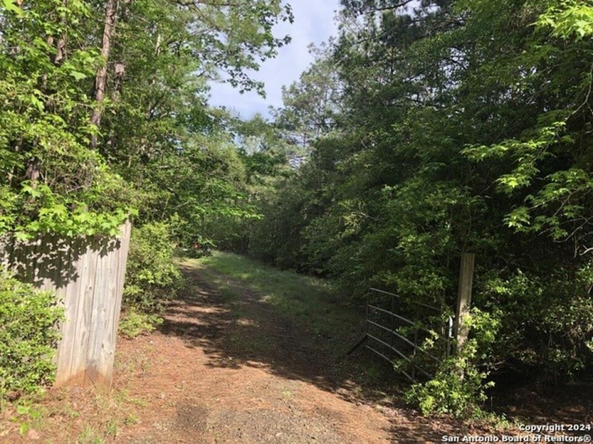 Picture of Residential Land For Sale in Brookeland, Texas, United States