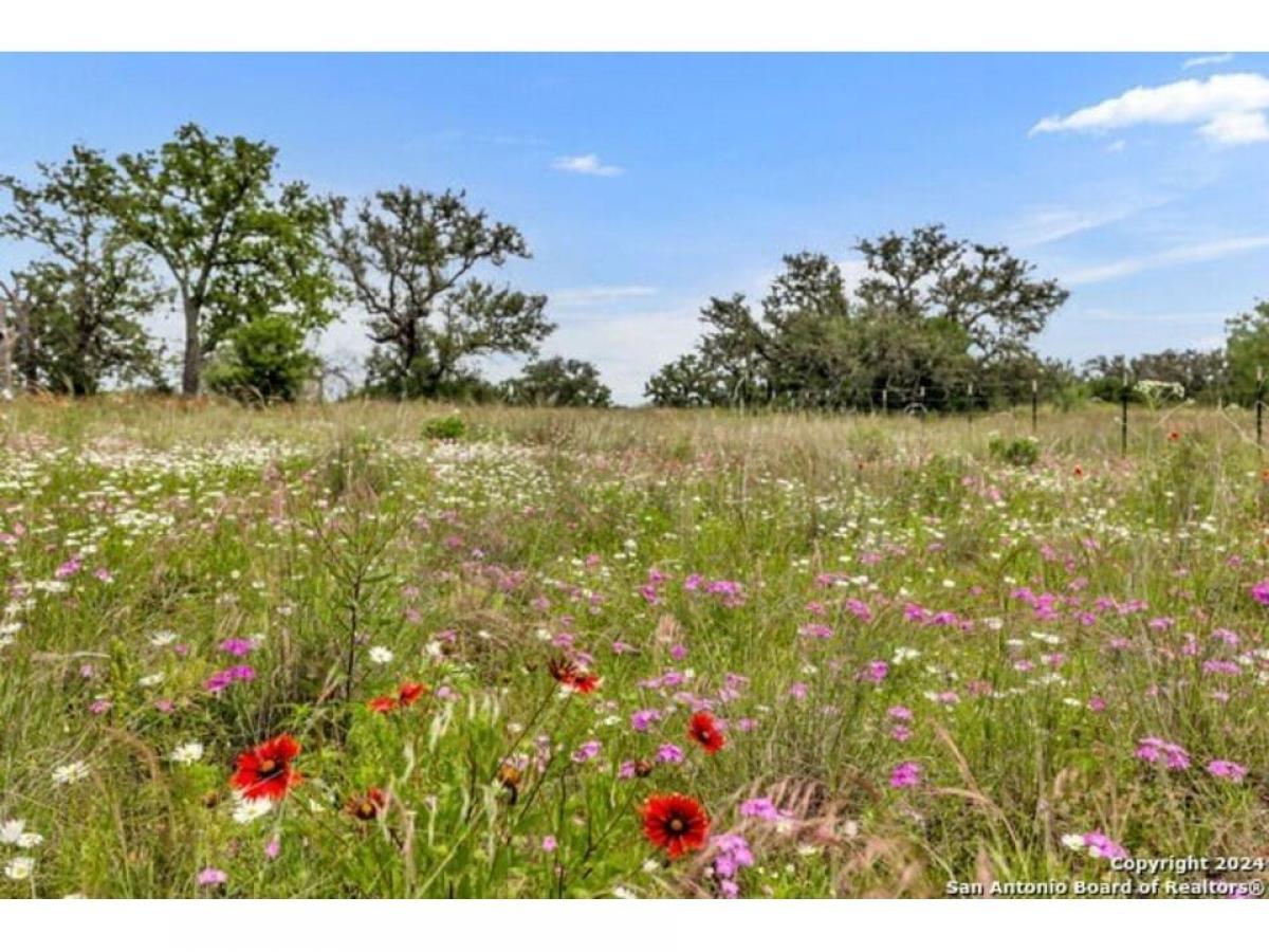 Picture of Farm For Sale in Pontotoc, Texas, United States