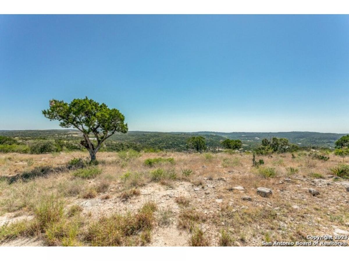 Picture of Residential Land For Sale in Mico, Texas, United States