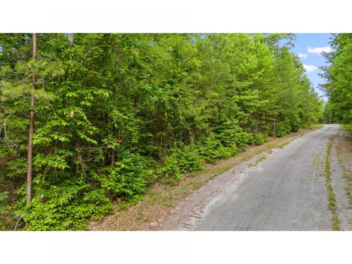 Picture of Residential Land For Sale in South Pittsburg, Tennessee, United States