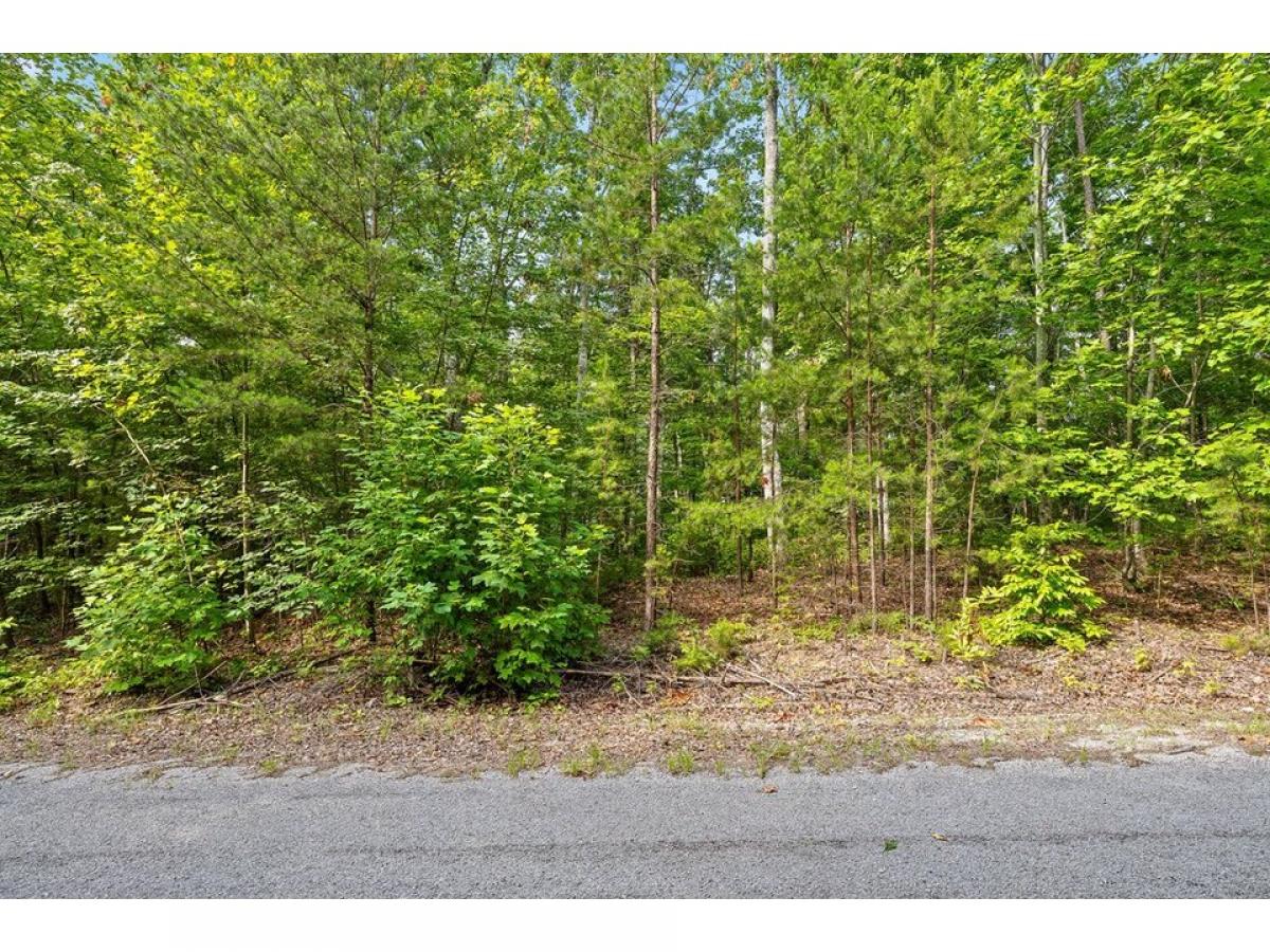 Picture of Residential Land For Sale in South Pittsburg, Tennessee, United States