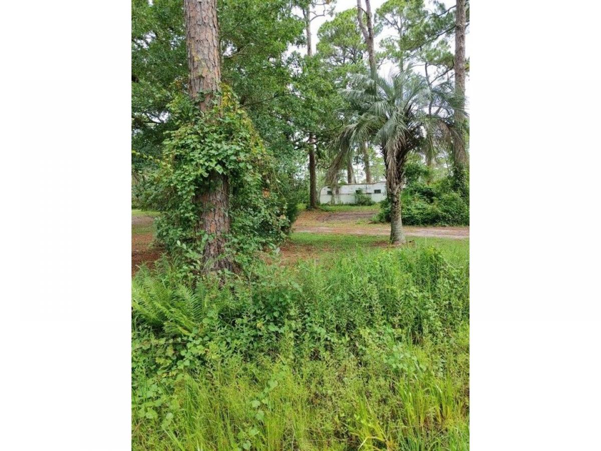 Picture of Residential Land For Sale in Carrabelle, Florida, United States