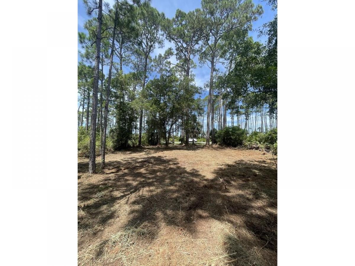 Picture of Residential Land For Sale in Cape San Blas, Florida, United States