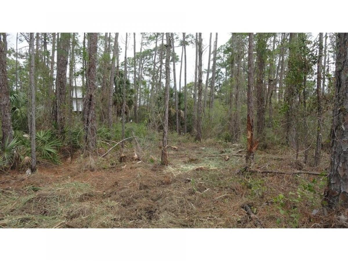 Picture of Residential Land For Sale in Saint George Island, Florida, United States