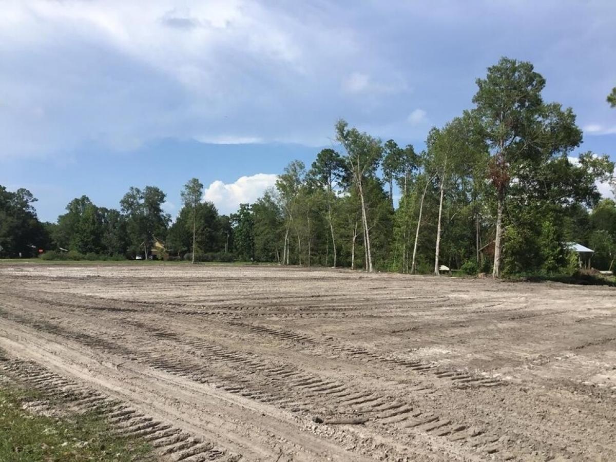 Picture of Residential Land For Sale in Wewahitchka, Florida, United States