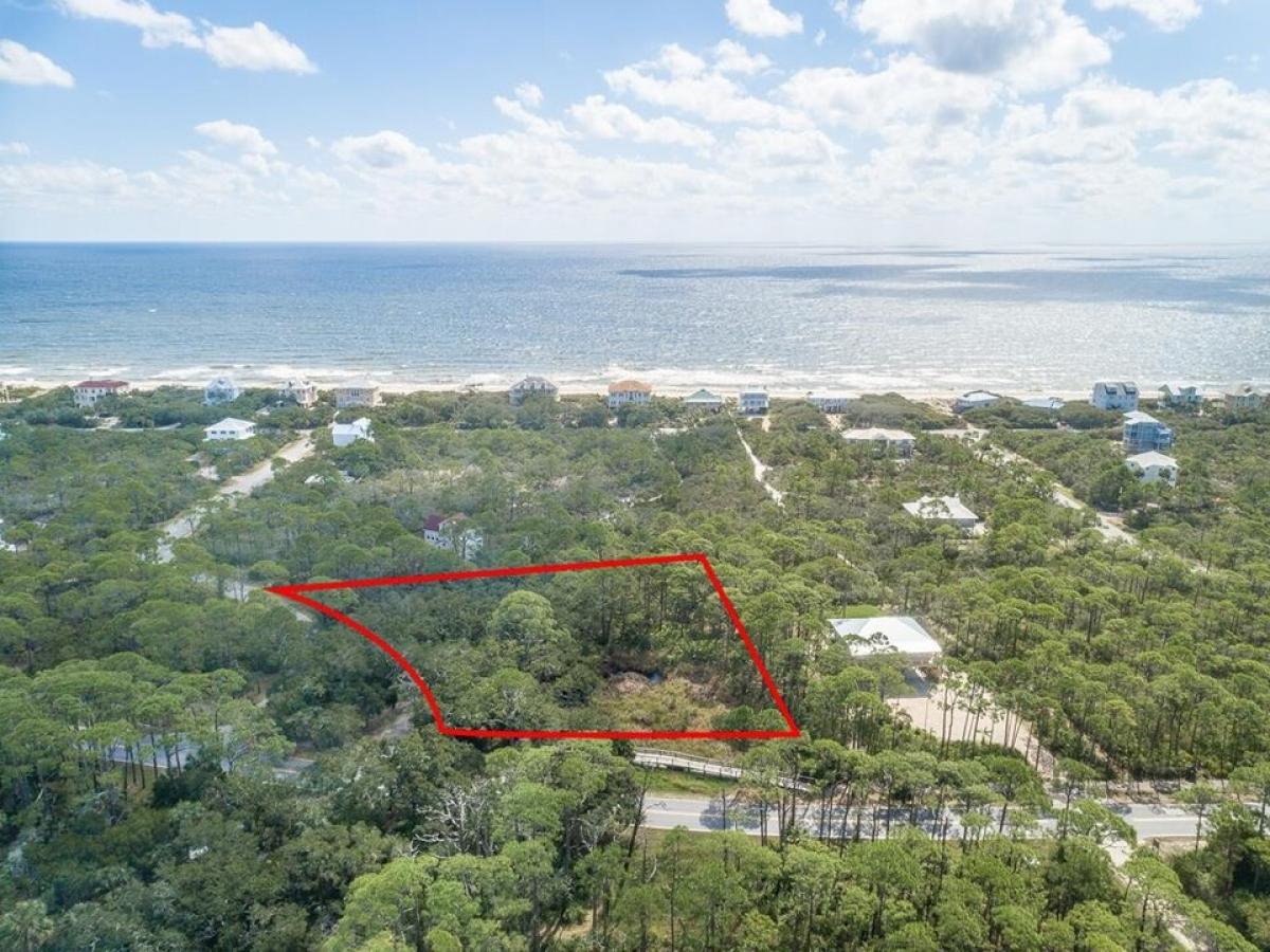 Picture of Residential Land For Sale in Saint George Island, Florida, United States