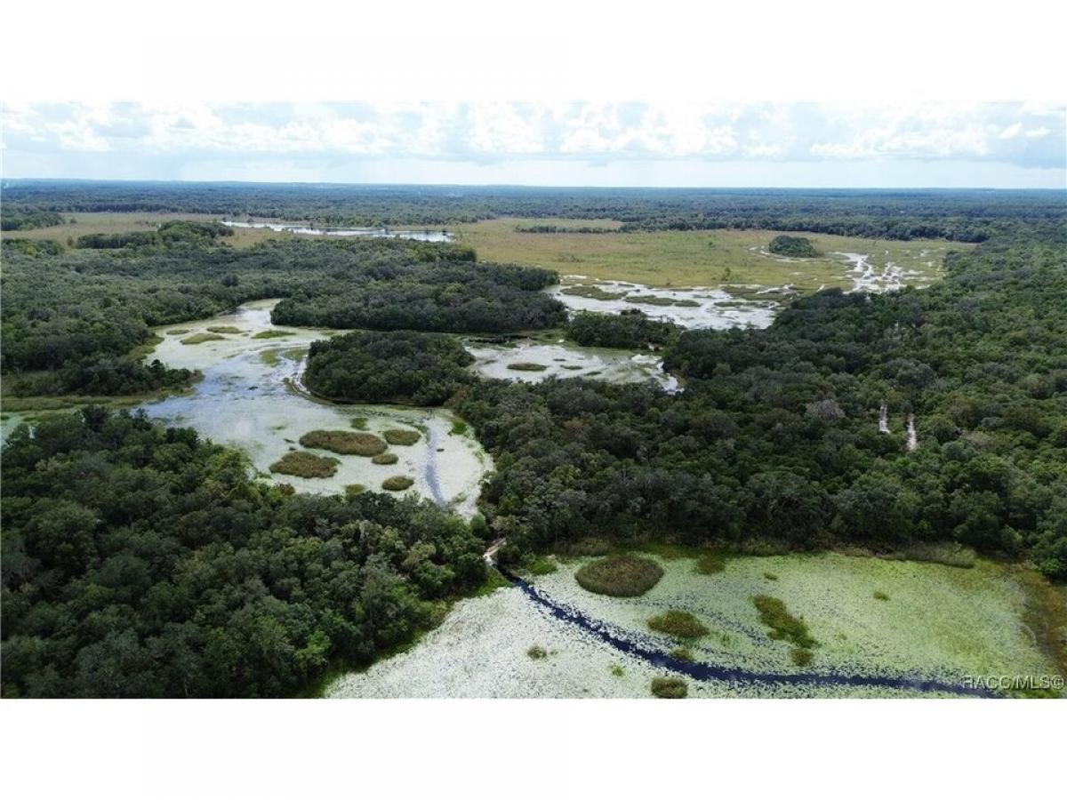 Picture of Residential Land For Sale in Inverness, Florida, United States