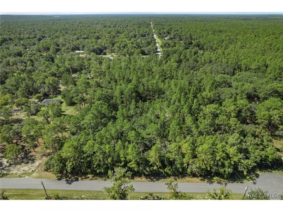 Picture of Residential Land For Sale in Homosassa, Florida, United States