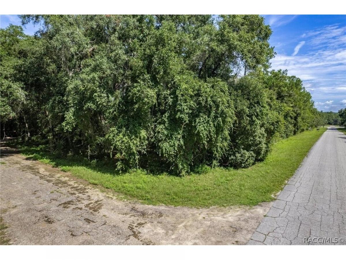 Picture of Residential Land For Sale in Dunnellon, Florida, United States