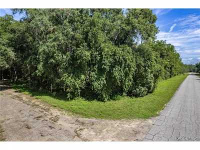 Residential Land For Sale in Dunnellon, Florida