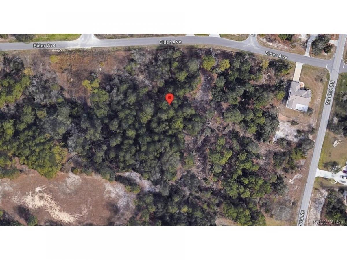 Picture of Residential Land For Sale in Brooksville, Florida, United States