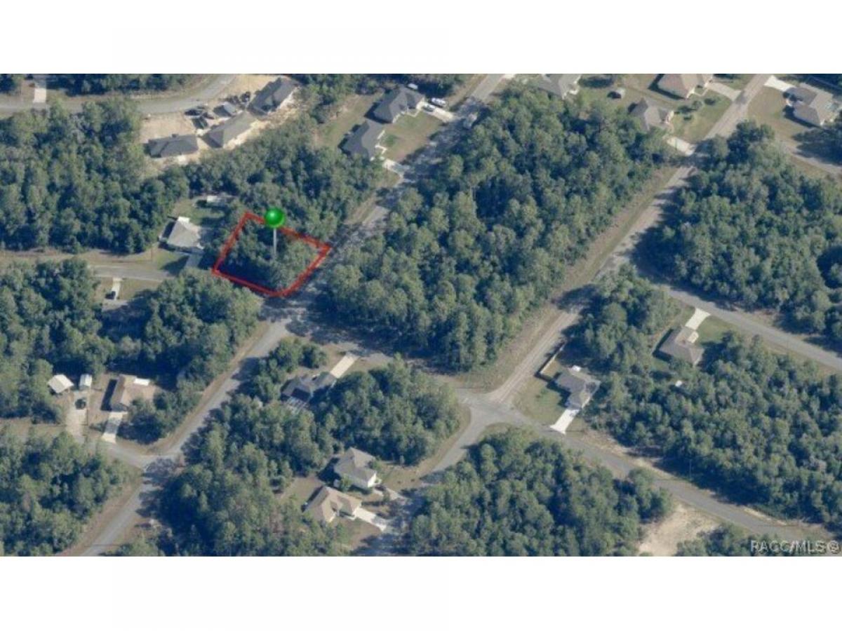 Picture of Residential Land For Sale in Citrus Springs, Florida, United States