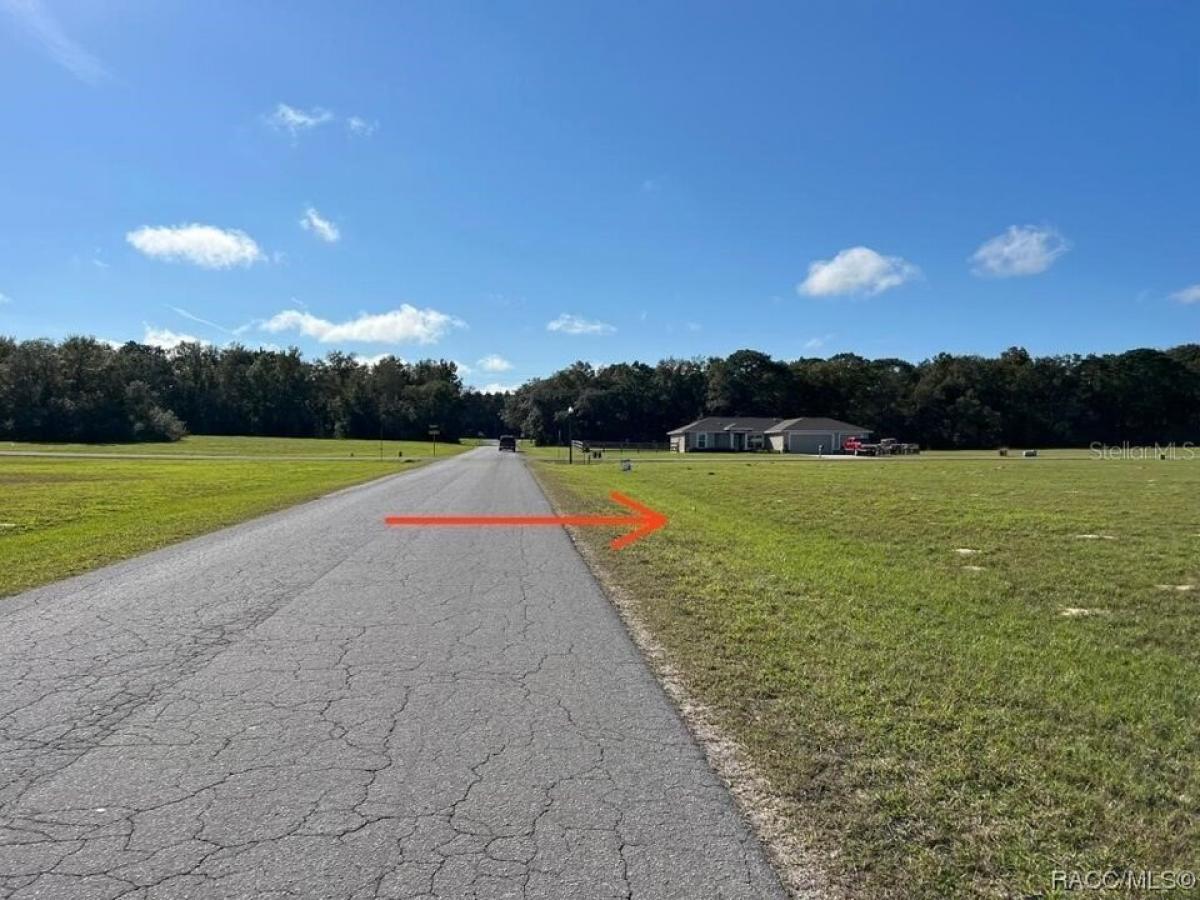 Picture of Residential Land For Sale in Hernando, Florida, United States