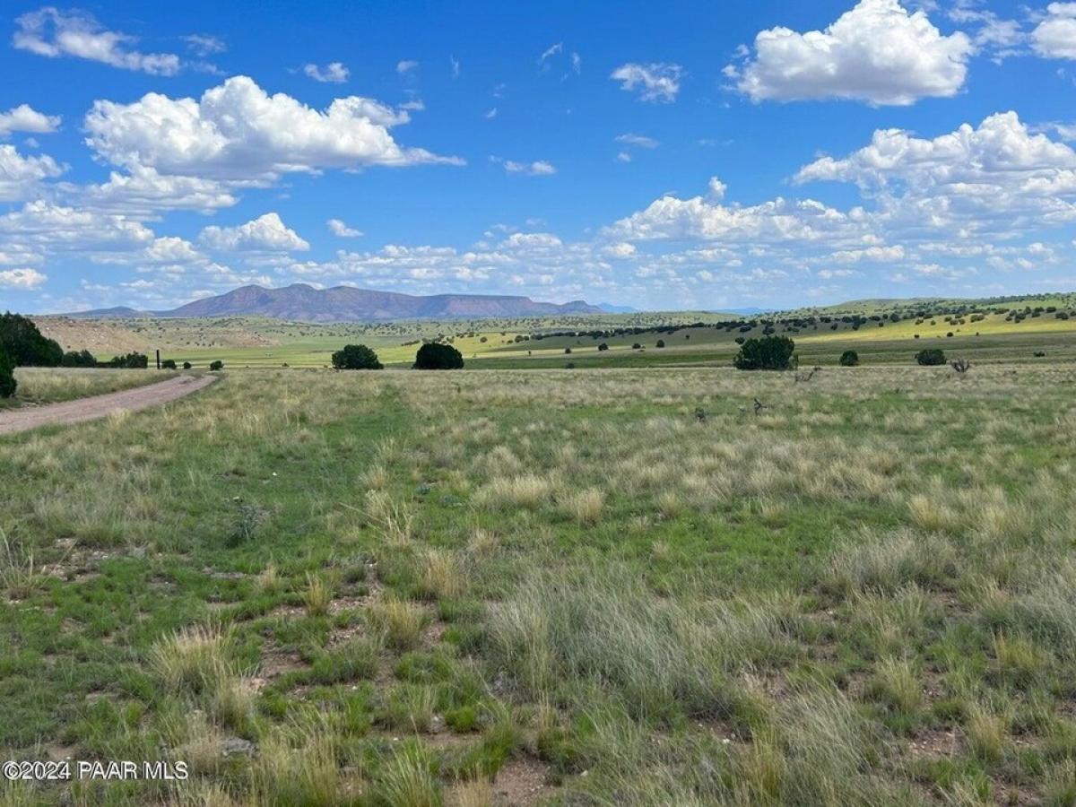 Picture of Residential Land For Sale in Seligman, Arizona, United States