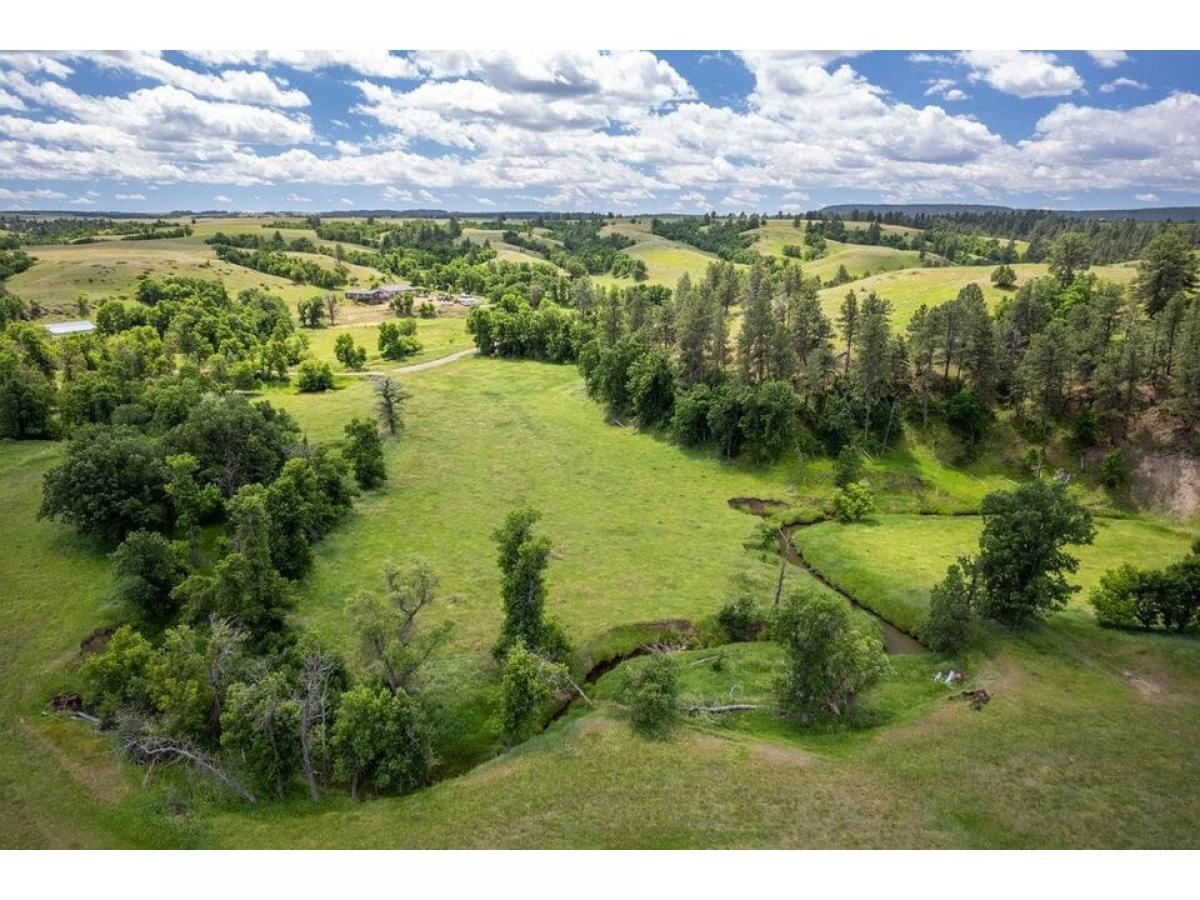 Picture of Farm For Sale in Hulett, Wyoming, United States