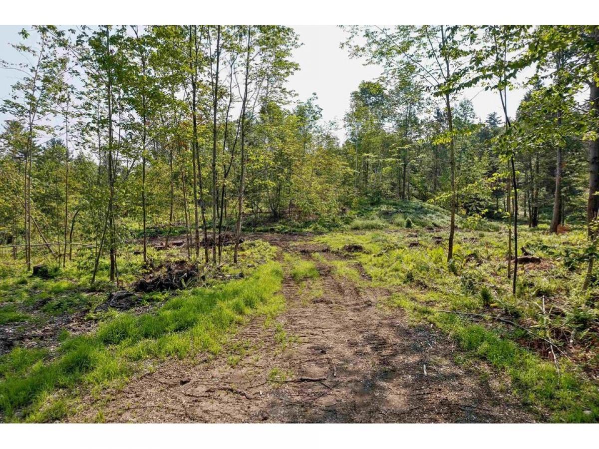 Picture of Residential Land For Sale in Haverhill, New Hampshire, United States