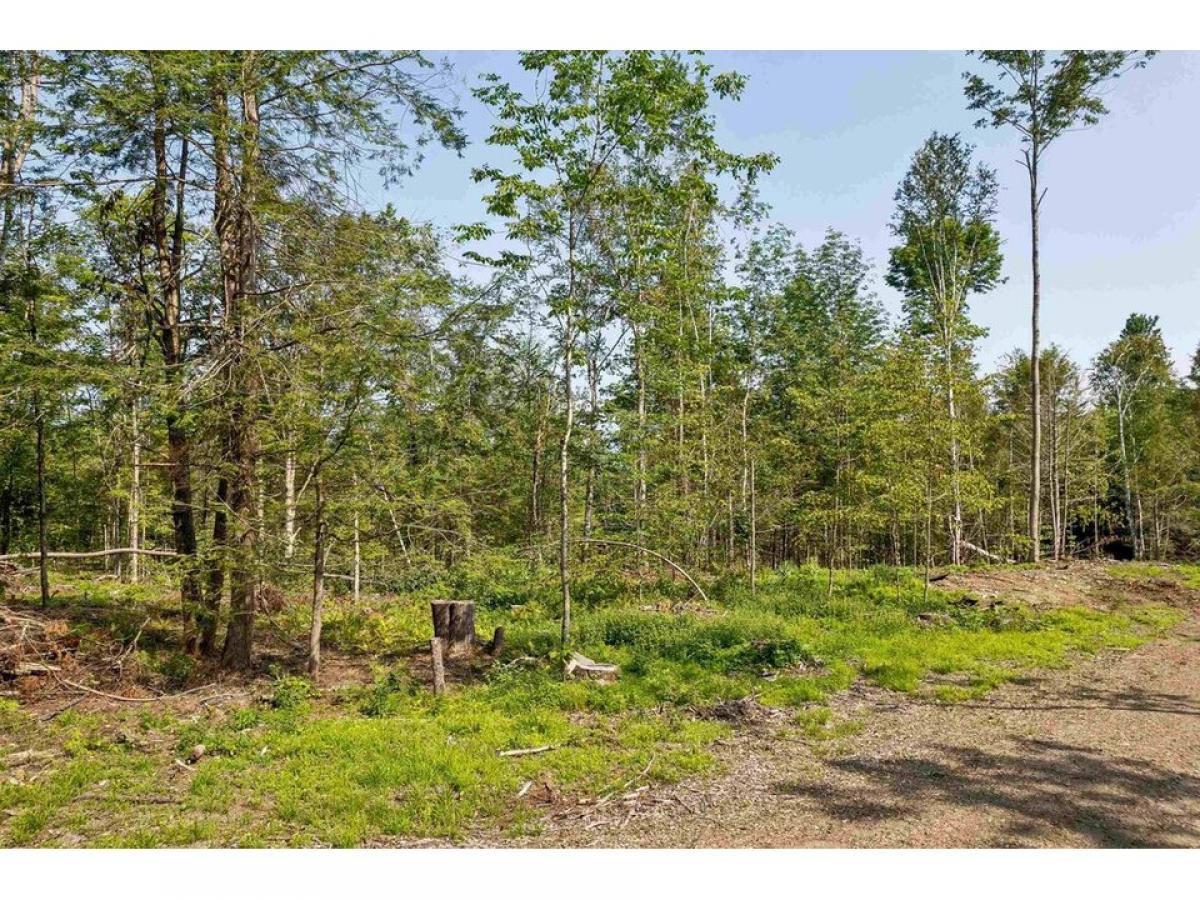 Picture of Residential Land For Sale in Haverhill, New Hampshire, United States