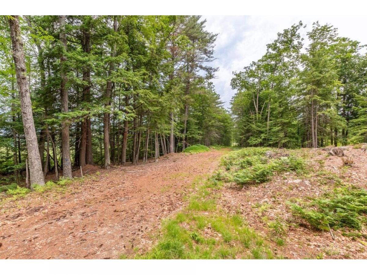 Picture of Residential Land For Sale in Meredith, New Hampshire, United States