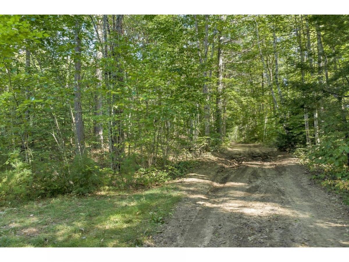 Picture of Residential Land For Sale in Wakefield, New Hampshire, United States