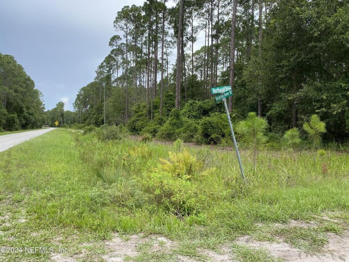 Picture of Residential Land For Sale in Georgetown, Florida, United States