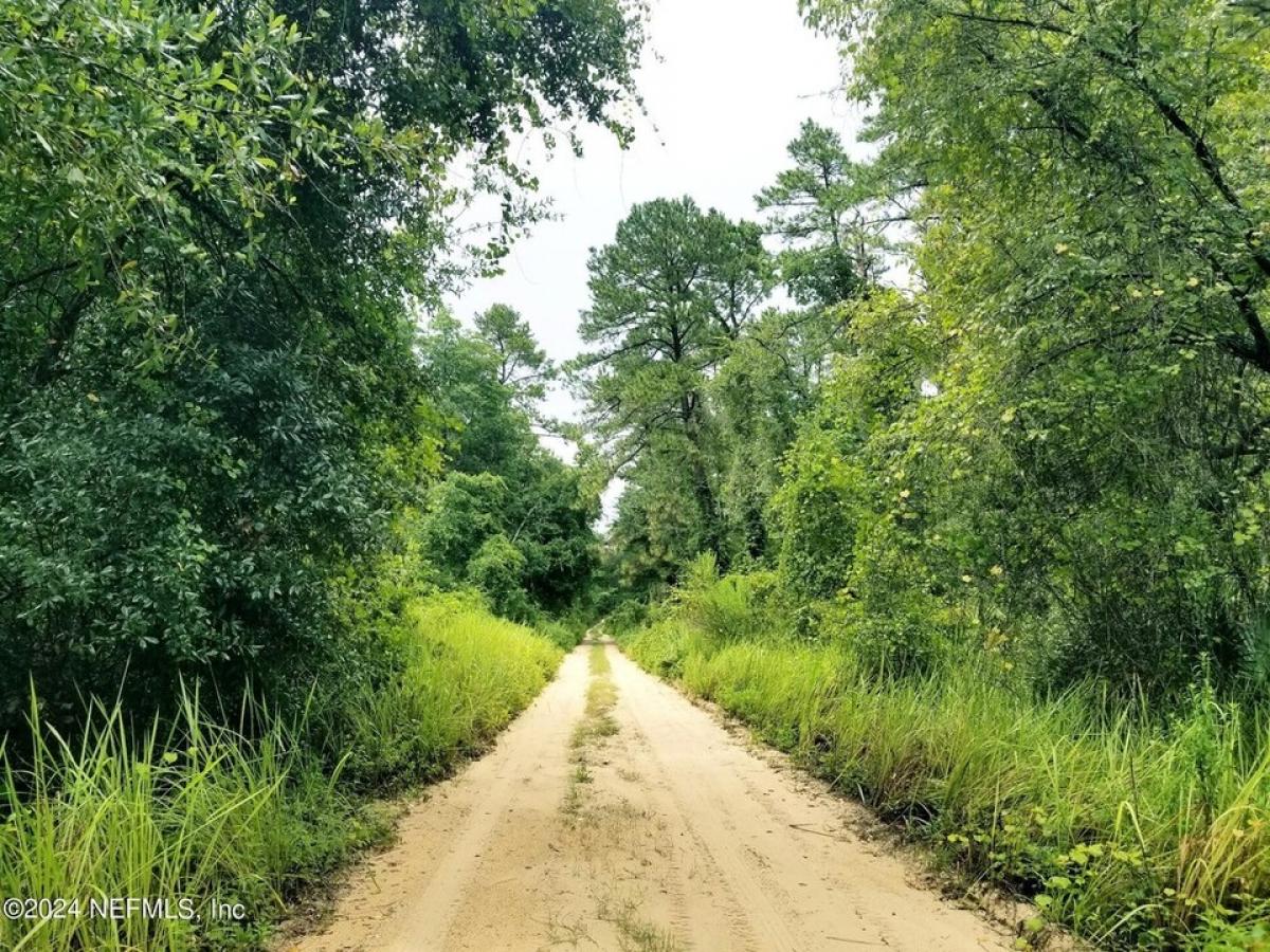 Picture of Residential Land For Sale in Satsuma, Florida, United States