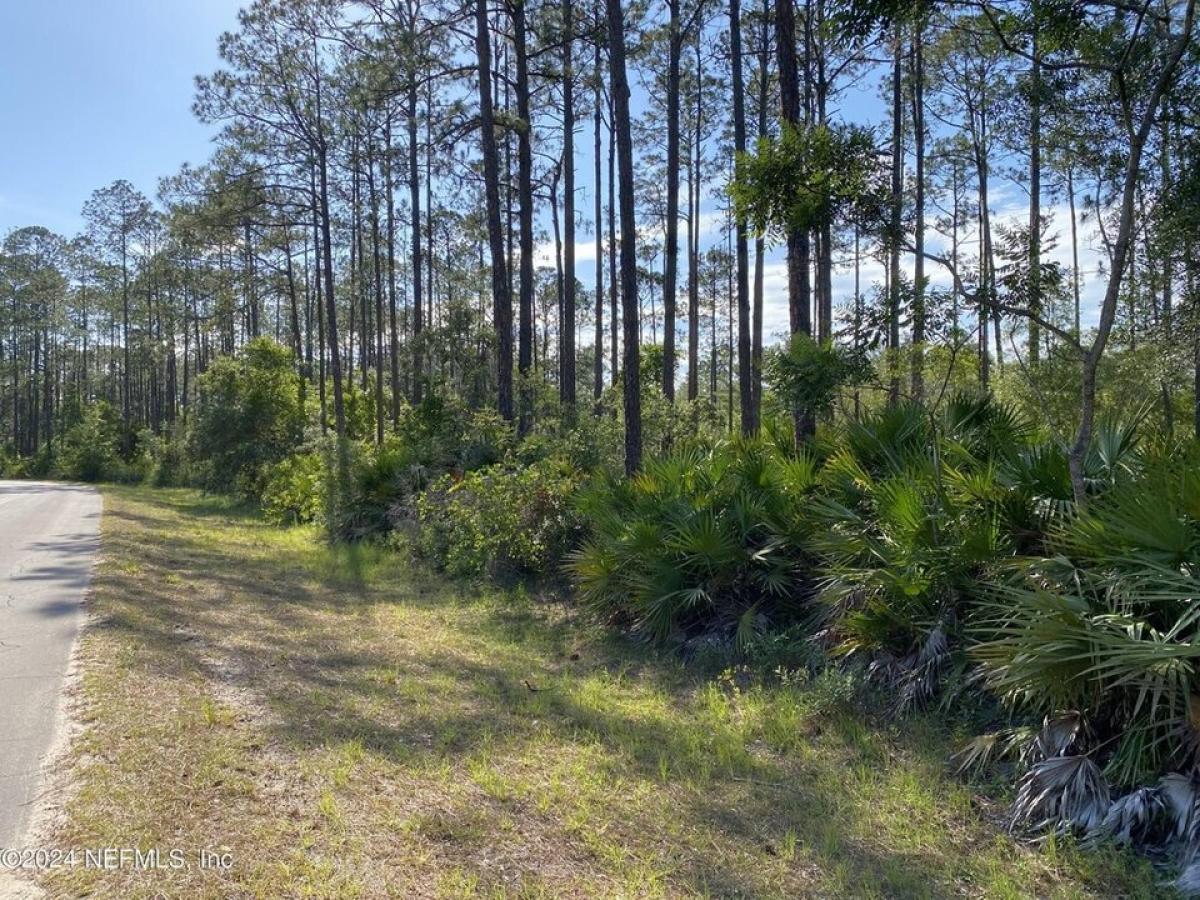 Picture of Residential Land For Rent in Interlachen, Florida, United States