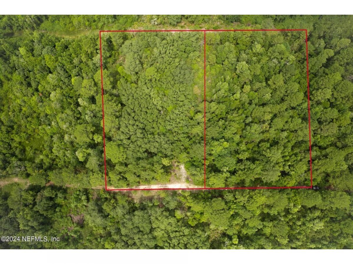 Picture of Residential Land For Sale in Florahome, Florida, United States