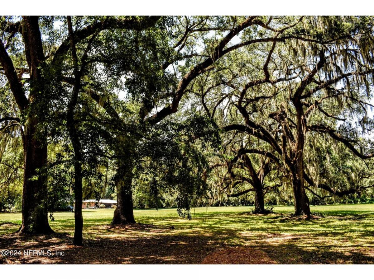 Picture of Residential Land For Sale in Palatka, Florida, United States