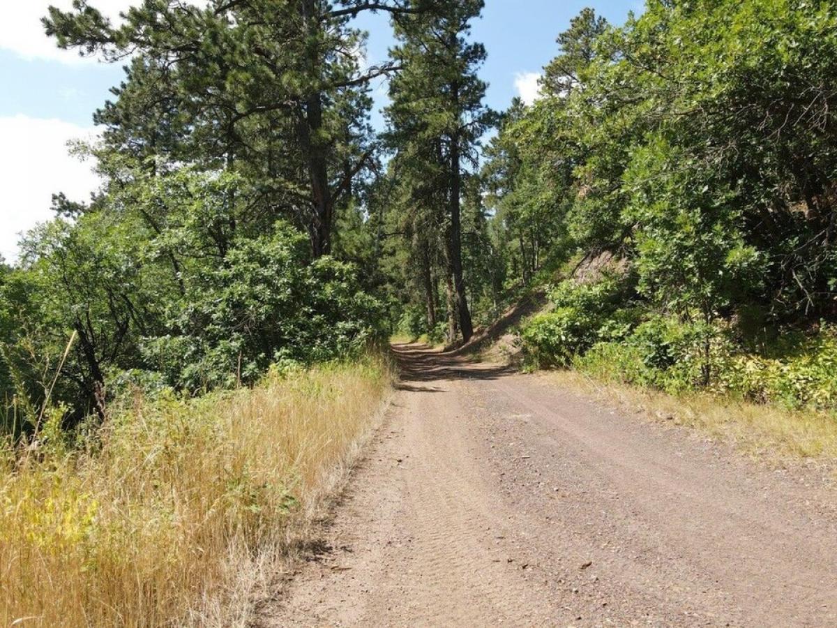 Picture of Residential Land For Sale in Lead, South Dakota, United States