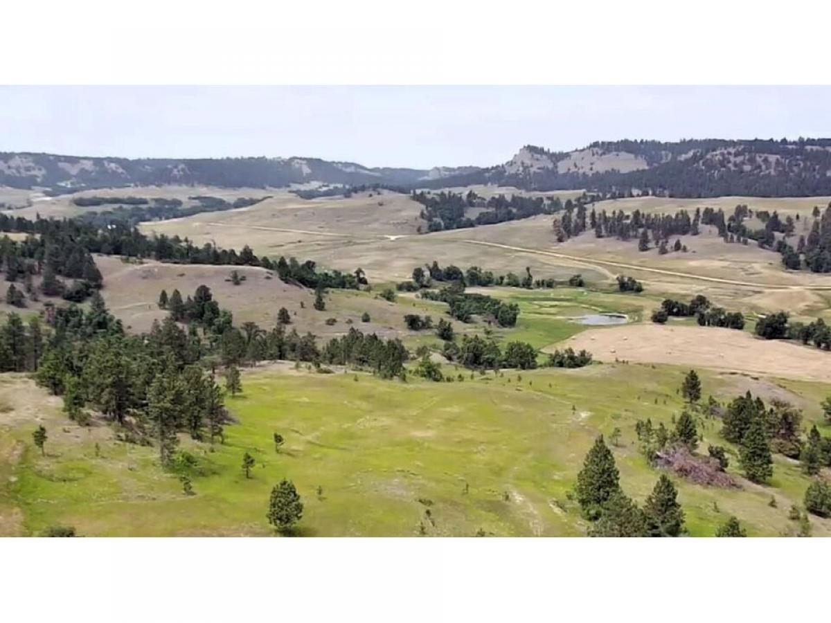 Picture of Residential Land For Sale in Hulett, Wyoming, United States