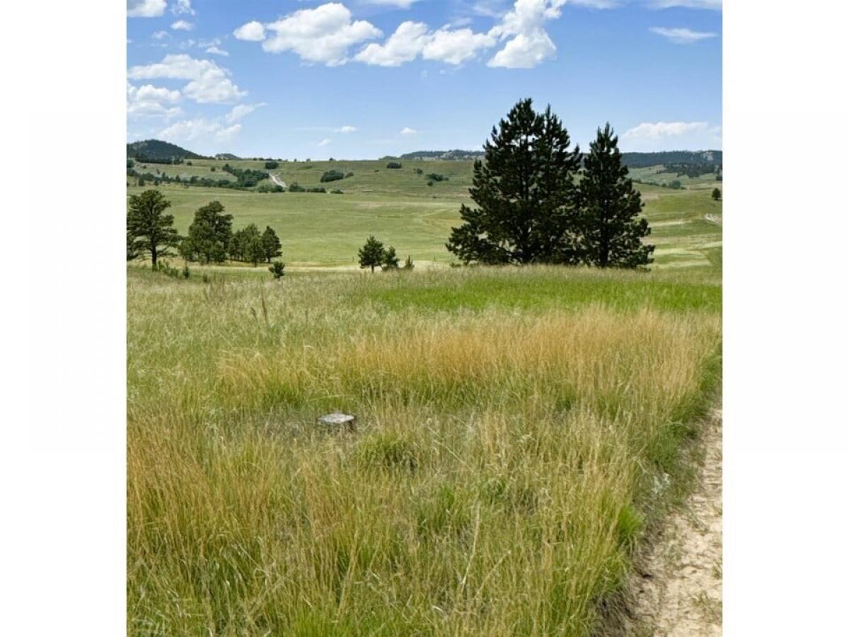 Picture of Residential Land For Sale in Hulett, Wyoming, United States