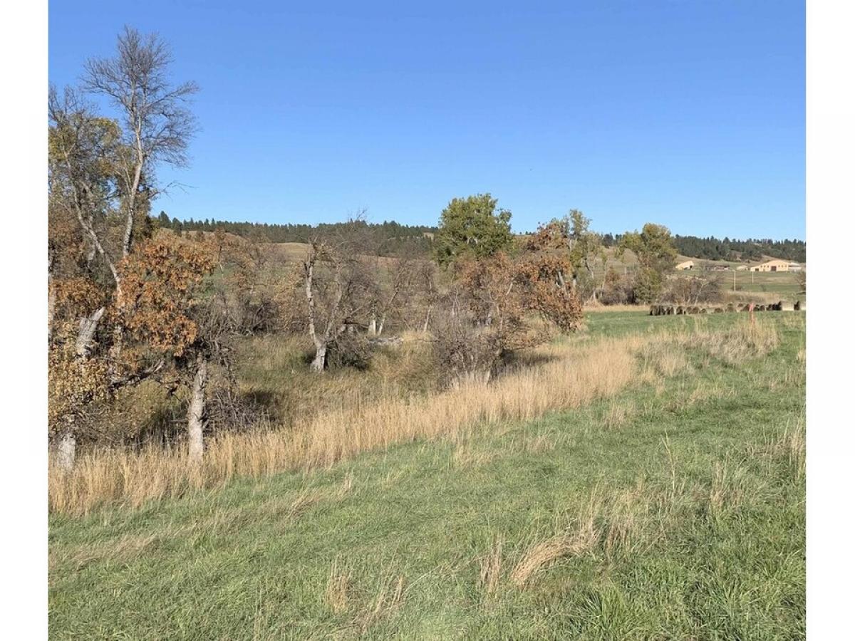 Picture of Residential Land For Sale in Hulett, Wyoming, United States